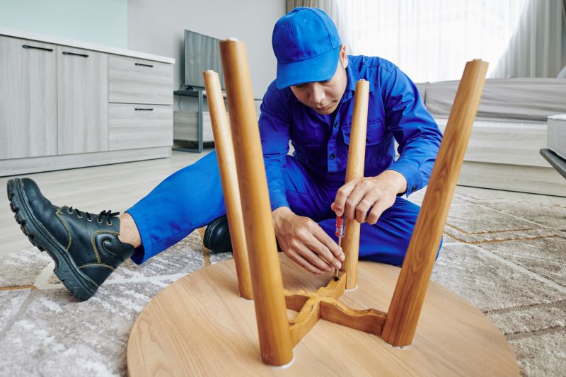 Expert Furniture Technician